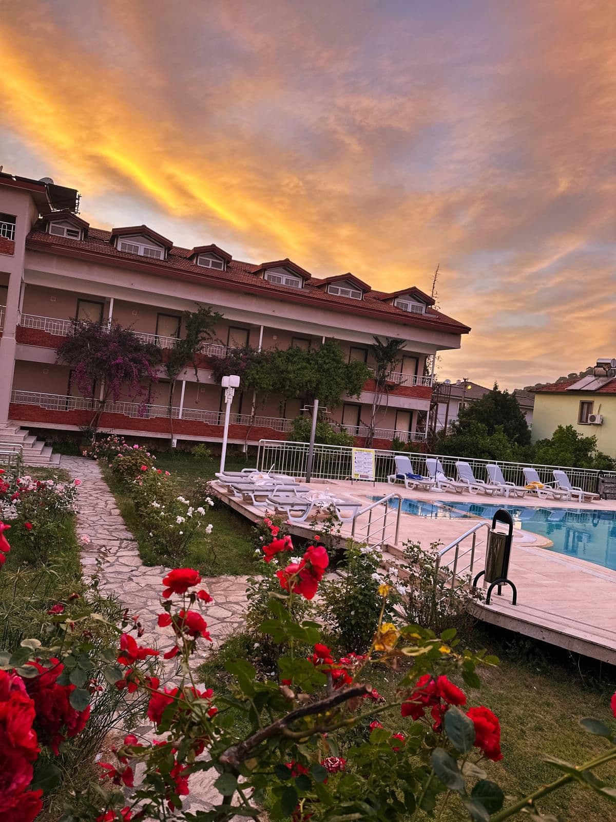 Dalyan Palmiye Resort havuz ve palmiye bahçesi